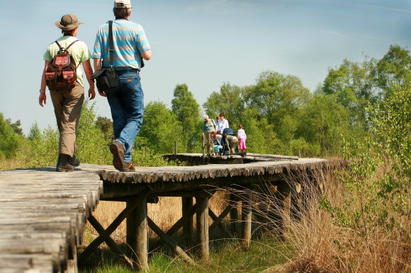 Wandelen in De Peel