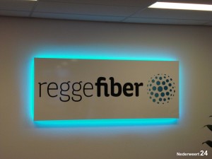 Glasvezel Reggefiber