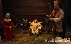 Kerststal St Lambertuskerk Nederweert 462