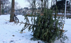 kerstboom ophalen Artikel