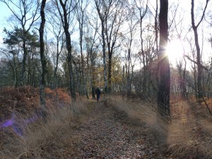 Winterse Stiltewandeling