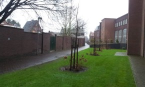 Rosa Moorenpad Nederweert