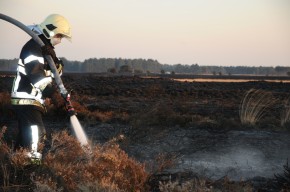 Zeer grote heidebrand Leenderbos