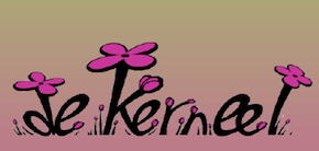 Logo basisschool de Kerneel