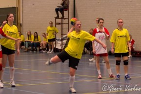 Handbalverenigingen