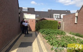 Brand coniferen Hinkert Nederweert 2988