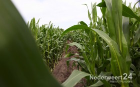 2013-07-28-Maisdoolhof-Nederweert-Eind-bij-IJsboerderij-Gommers-018