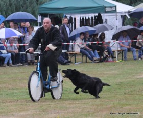 Demonstratie politiehonden Nederweert3