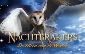 Nachtbrakers De uilen van de wereld