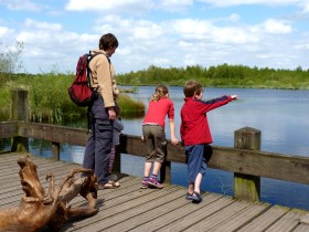 Picknickwandeling in de Groote Peel