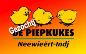 Piepkukes-300x188-gezochtj