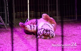 Circus Belly Wien in Nederweert