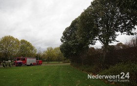 Boom dreigt op schuurtje te vallen Tromplaan Weert