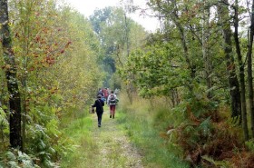 Herfstwandeling Groote Peel 2013-10-22 om 10.00.57