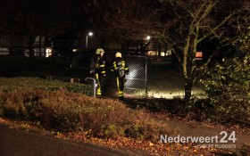 Melding bijtende stof in ogen van wandelaar met hond