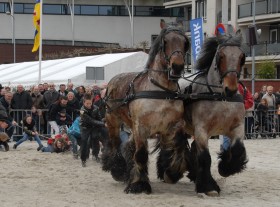 450 jaar Weerter Paardenmarkt