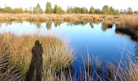 Stiltewandeling De Groote Peel