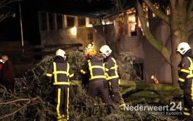 2013-12-05 Boom valt op auto Alexanderstraat Nederweert 2496