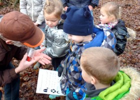 Winterpret in De Groote Peel