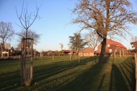 boerderijerven in Nederweert en Weert2