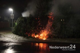 Coniferenhaag in brand aan de Burcht op Boshoven in Weert