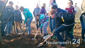 Kampershoek 2.0 bomen