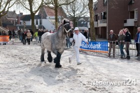 Paarden jaarmarkt in Weert