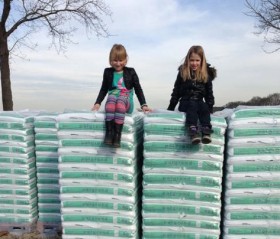 Potgrondactie Fortutas