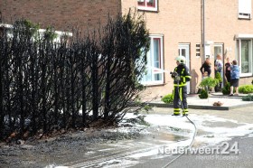 Coniferenhaag volledig afgebrand in Groenstraat Weert