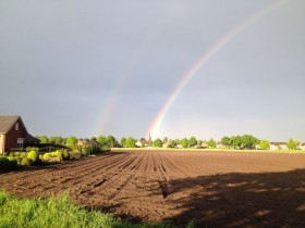 1a106b71629ecdd299ab3598a9295b55