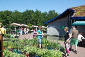 Bijen-en plantenmarkt De Pelen