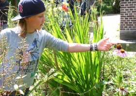 Kruidenworkshop Moederdag