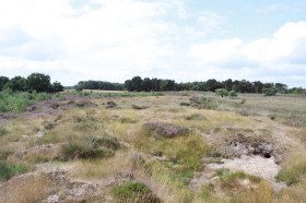 Landschap midden limburg