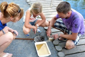 Vaderdagwandeling De Pelen