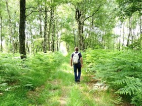 Dagwandeling in De Groote Peel