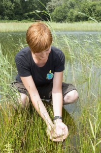 gaby bollen met larve knoflookplad - Bob Luijks Natuurportret