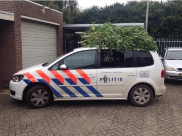 Politie wiet