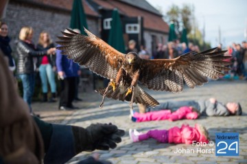 Valkenier Eynderhoof Nederweert-Eind