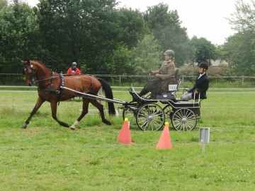 indoorvaardigheidswedstrijd voor  recreatiemenners