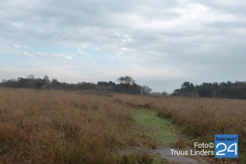 Herfst in de Groote Peel