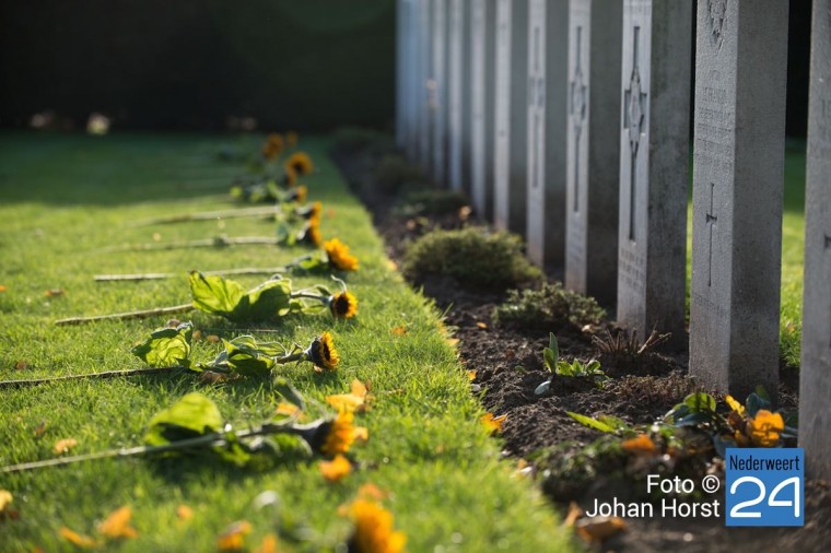 Nederweert Herdenking Britse begraafplaats zonnebloemen