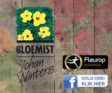 Winters-bloemist-360x300