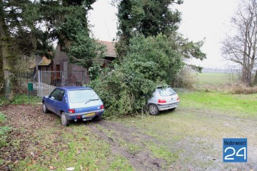 Boom op auto tijdens storm aan Gebleektedijk in Nederweert-Eind