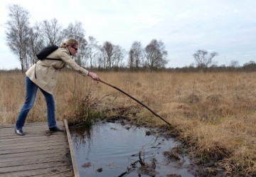 wandeling De Groote Peel