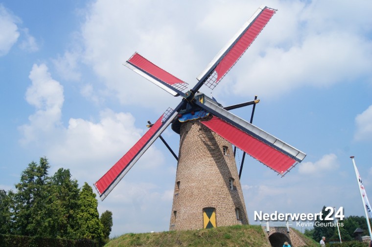 Korenbloem Ospel