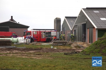 Brand koeienstal Haler