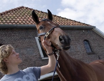 Cursus paarden voor leerlingen