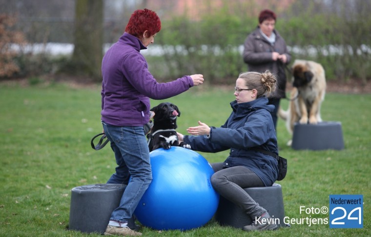 opendag hondenschool