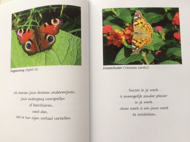 Kracht van vlinders 3