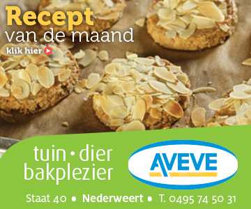 AVEVE_banner-360x300-Recept-juni